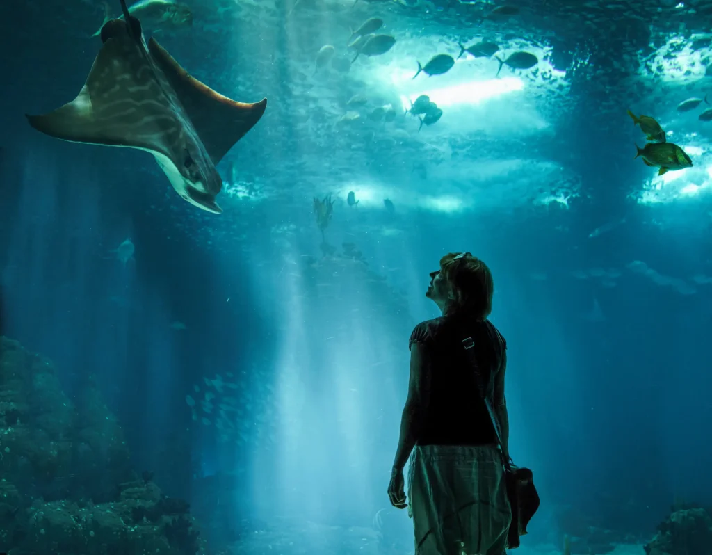 Aquarium Besuch in Lissabon mit Kindern