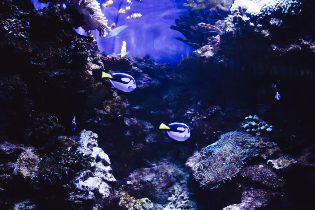 aquarium familienausflug