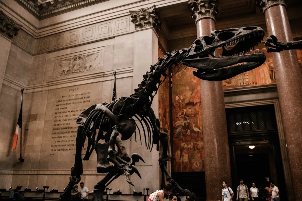 museum zu besuchen in new york