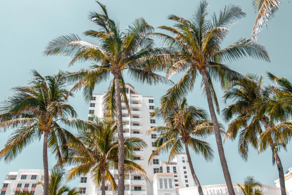 Wo schlafen in Miami Florida Hotels