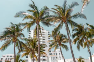 Wo in Miami übernachten | Familienaufenthalt