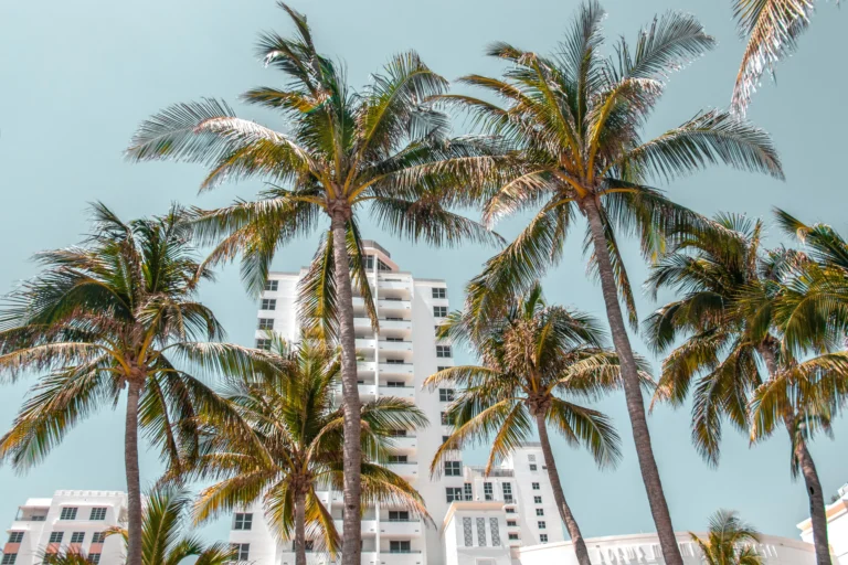 Wo in Miami übernachten | Familienaufenthalt